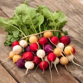 rzodkiewka-mieszanka-rzodkiewek-kulistych-mix-nasion-kolorowa-smaczna