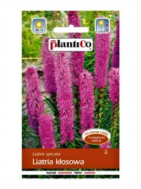 liatra-klosowa-nasiona-kwiatow-wieloletnie-miododajne-plantico