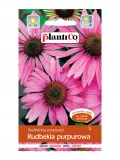rudbekia-purpurowa-rodzaj-rosliny-mieszanka-roslin