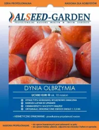 dynia-olbrzymia-uchiki-kuri-typ-hokkaido-smaczna-nasiona-holenderskie