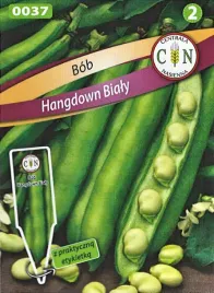 bob-hangdown-bialy-przepyszne-bialo-seledynowe-nasiona-sredniopozny