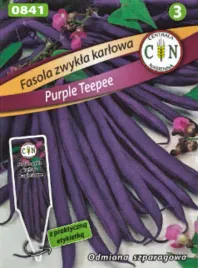 fasola-purple-teepee-szparagowa-karlowa-bardzo-wczesna-mega-plenna-30g