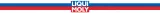 silikon-w-sprayu-300-ml-lm-liqui-moly-2665-lm-rodzaj-smar-silikonowy
