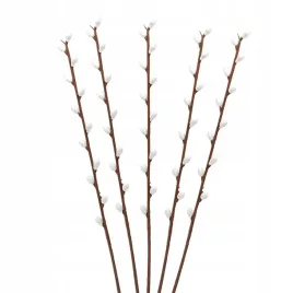 bazie-plastikowe-biale-36-cm-5-szt-wielkanoc-koszyczek-stroik