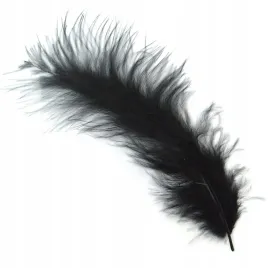 piorka-dekoracyjne-50-szt-czarne