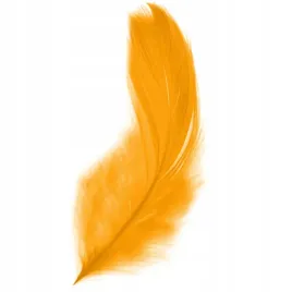 piorka-15g-ciemno-zolte