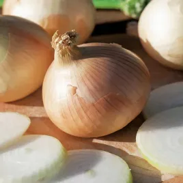 cebula-globo-salatkowa-bardzo-duza-i-smaczna-lagodna-slodka-nasiona-cebuli