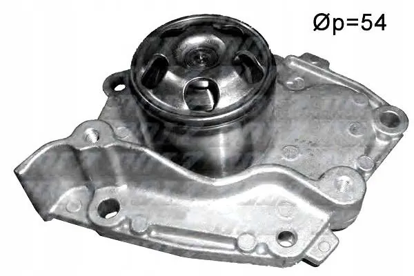 dolz-pompa-wody-r233