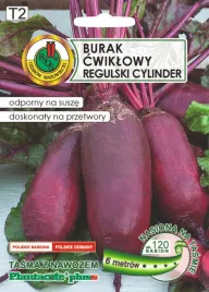 burak-cwiklowy-na-tasmie-regulski-cylinder-6m-nswptn01