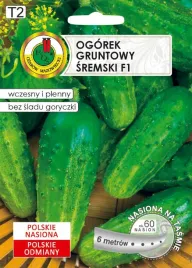 ogorek-gruntowy-sremski-na-tasmie-f1-6m-nswpt011