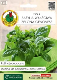 bazylia-wlasciwa-zielona-genovese-03g-nszpm004