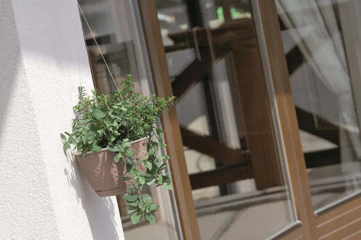 doniczka-wiszaca-ratolla-round-mocca-marka-prosperplast