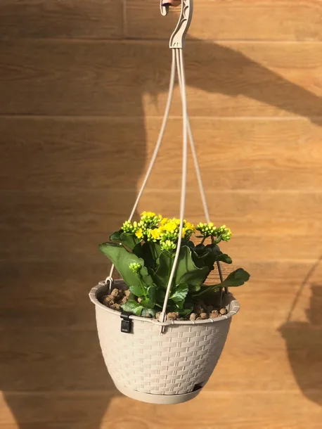 doniczka-wiszaca-ratolla-round-mocca-rodzaj-doniczka