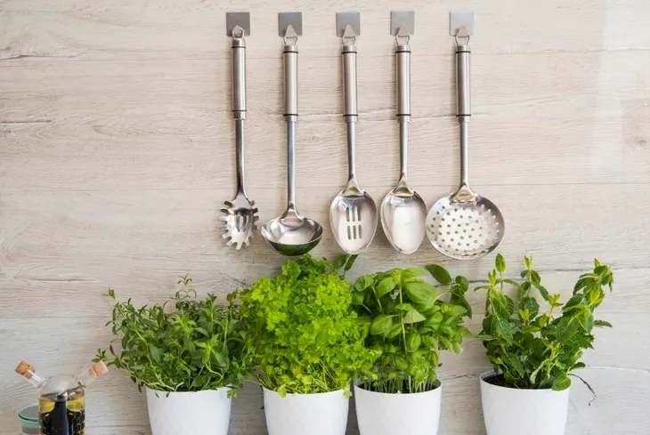 lyzka-ndz-practico-22486-stan-nowy-rodzaj-lyzka