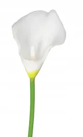 sztuczne-kwiaty-kalia-kala-kalie-jak-zywa-biala