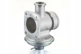 zawor-egr-11717785452