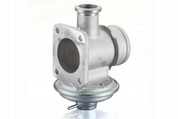 zawor-egr-11717785452