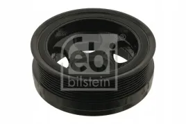 kolo-pasowe-walu-korbowego-db-om642-w164-w251-w221-febi-bilstein-29991