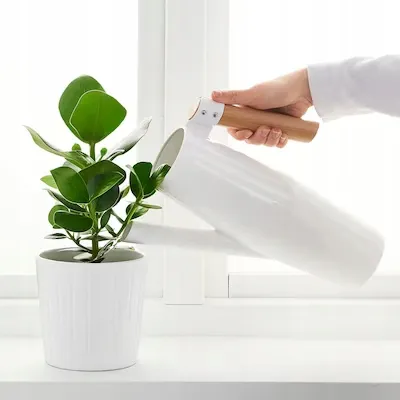 konewka-bittergurka-biala-2-l-stan-nowy-pojemnosc-2-l