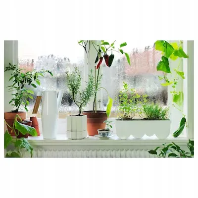 konewka-bittergurka-biala-2-l-stan-nowy-kolor-bialy