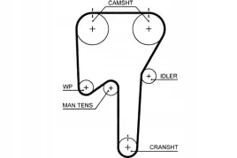 pasek-rozrzadu-146x28-gates-5553xs