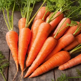 marchew-sukces-pozna-soczysta-idealna-do-przechowywania-nasiona-marchwi