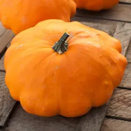 dynia-patison-orange-splaszczone-pomaranczowa-nasiona-warzyw-dyni