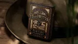 karty-yellowstone-theory11-rodzaj-podstawa