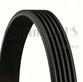 continental-ctam-con-pasek-wieloklinowy-5-pk-830