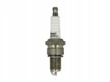 swieca-iskrowa-denso-waga-z-opakowaniem-2-kg