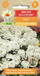 ubiorek-hiacyntowy-bialy-na-skalniak-nasiona-05-g