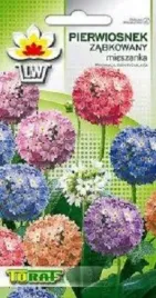 pierwiosnek-zabkowany-mix-nasiona-01-g