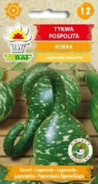 tykwa-pospolita-kobra-6-szt-nasion