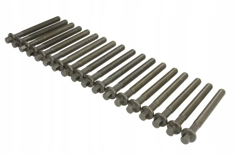 sruby-glowicy-renault-koleos-25-08-