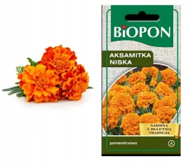 biopon-nasiona-aksamitka-niska-pomaranczowa-1g