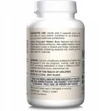 pistacja-mastic-gum-500-mg-60-kaps-liczba-sztuk-60-szt
