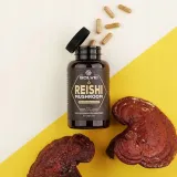 solvelabs-reishi-ganoderma-lucidum-10-1-ekstrakt-60-kapsulek-cechy-dodatkowe-bezalkoholowy-bez-cukru-bezglutenowy-bez-jodu-bez-kazeiny-bez-laktozy-chronic-przed-swiatlem-czysty-bez-dodatkow-weganski-wegetarianski