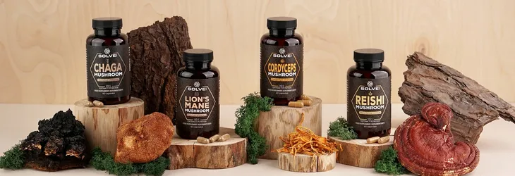 solvelabs-reishi-ganoderma-lucidum-10-1-ekstrakt-60-kapsulek-stan-nowy