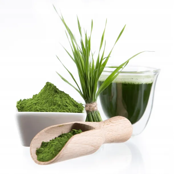 lab-one-n1-chlorophyll-detox-500-ml-cechy-dodatkowe-wegetarianski