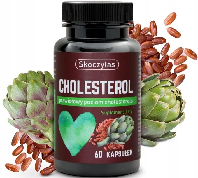 skoczylas-cholesterol-60-kapsulek-podstawowy-skladnik-karczoch