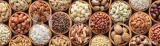 targroch-chipsy-kokosowe-500-g-postac-chipsy