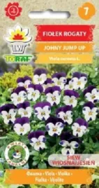 fiolek-rogaty-johny-jump-up-nasiona-03-g-skalniak