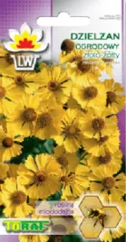 dzielzan-zloto-zolty-nasiona-05-g-bylina-miododajna
