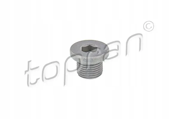 sruba-spustu-oleju-citroen-c4-04-