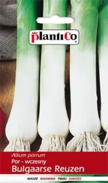 por-bulgaarse-reuzen-10-g-plantico-polan