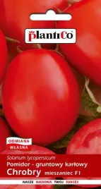 pomidor-gruntowy-chrobry-f1-0-5-g-plantico