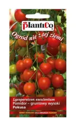 pomidor-gruntowy-pokusa-05-g-plantico
