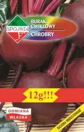burak-cwiklowy-chrobry-12-g-spojnia