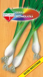 cebula-siedmiolatka-kroll-2-g-spojnia