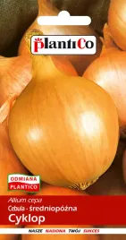 cebula-cyklop-5-g-plantico